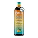 Mielle Organics Mango & Tulsi Nourishing Hair Shampoo - Moisturizing Shampoo for Curly Hair - Gently Cleanses & Remove Scalp Impurities - Nourishes Beauty & Personal Care Mielle Organics