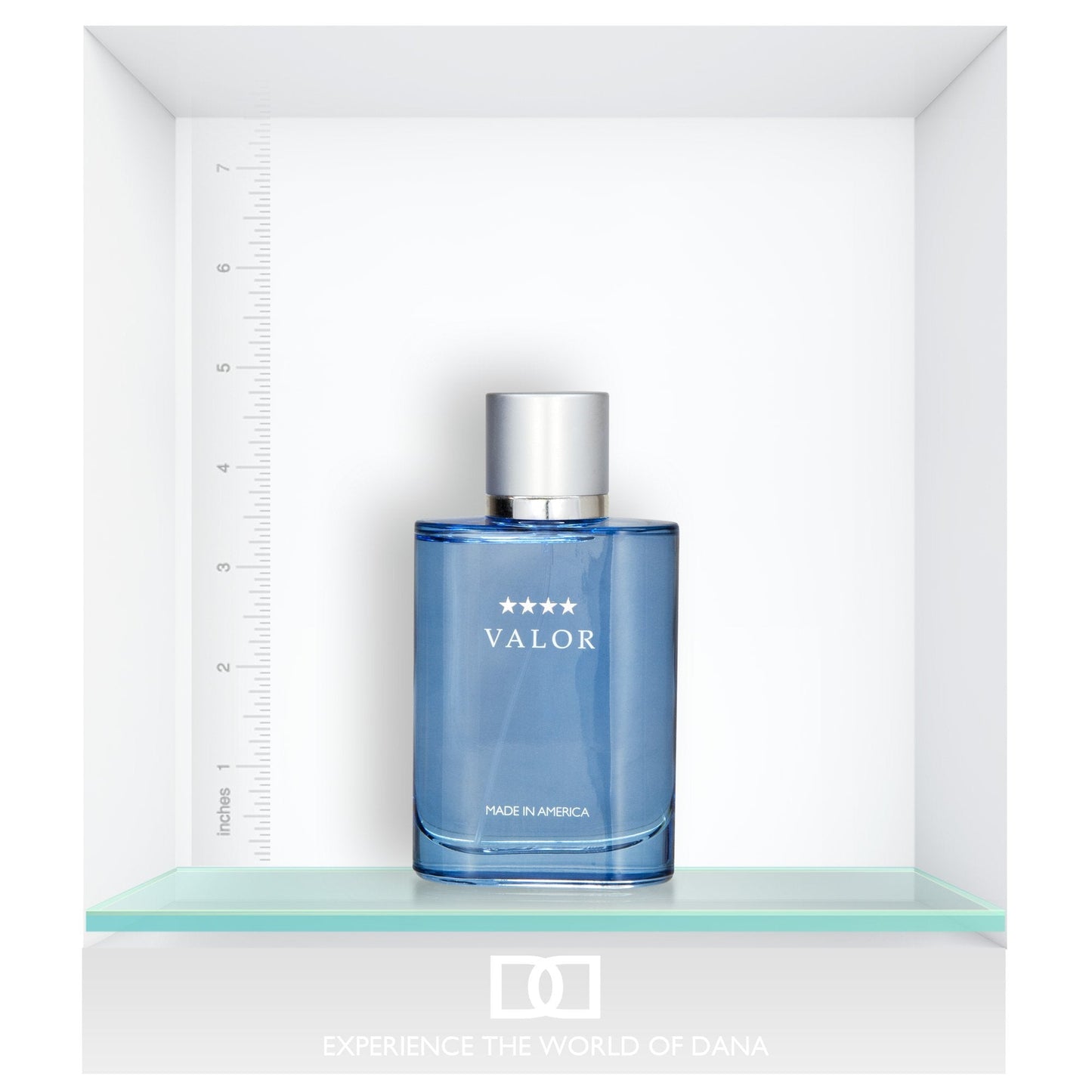 Valor by Dana 3.4 oz Eau De Toilette Spray for Men Beauty & Personal Care Dana
