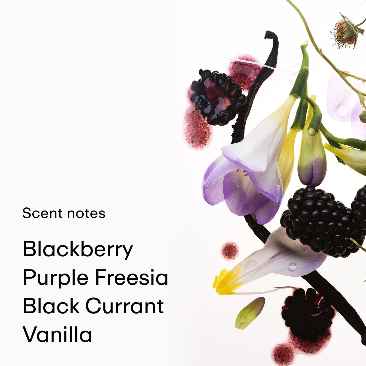 PHLUR Vanilla Blackberry Body Mist, 3 Fl Oz - Hair and Body Perfume Beauty and Personal Care PHLUR