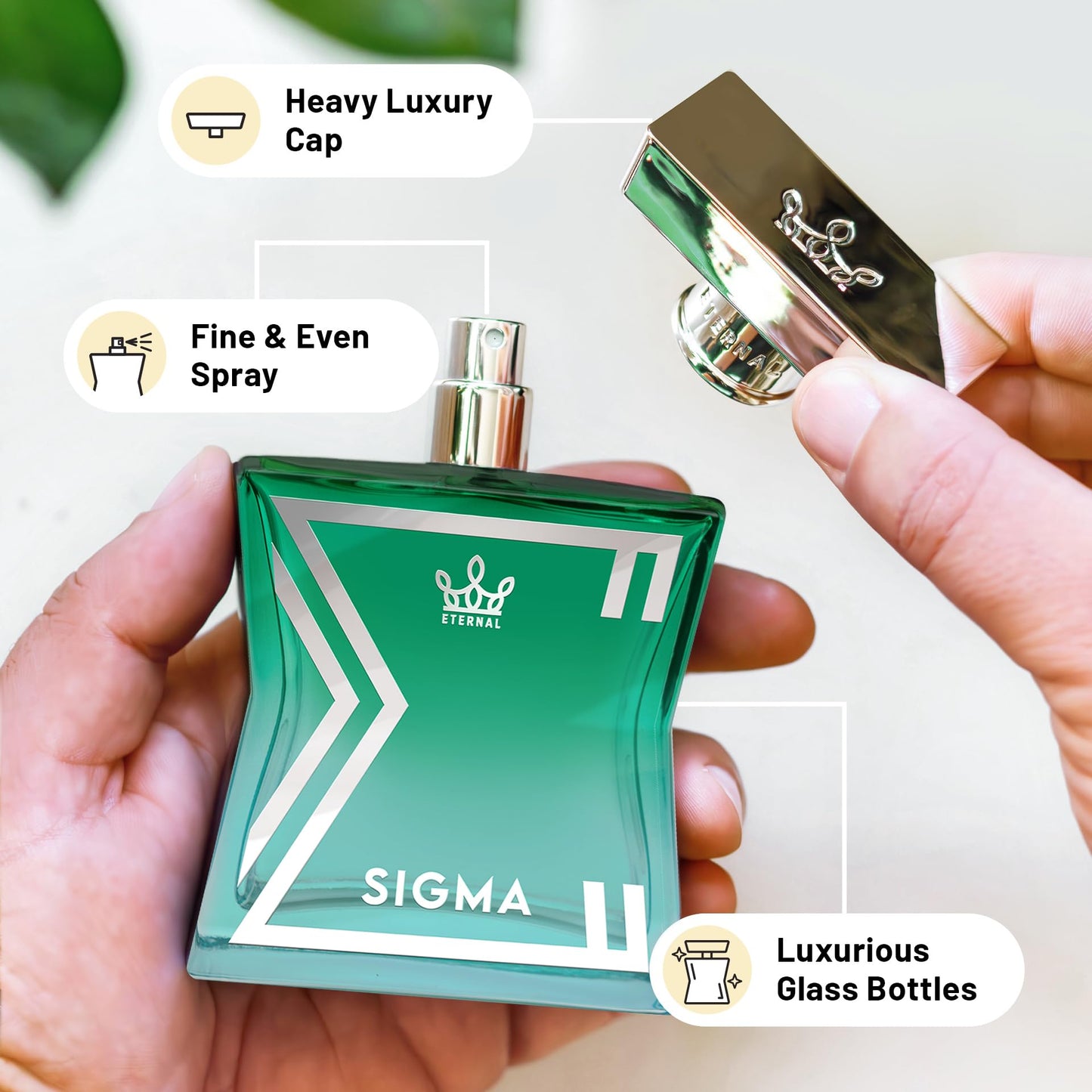 Eternal Fragrance - Eternal Sigma - Inspired by Designer Exotic Coconut Cologne - 3.4 oz (100ml) - EDP - Vegan - Clean Ingredients - Cologne Spray Beauty & Personal Care Eternal Fragrance