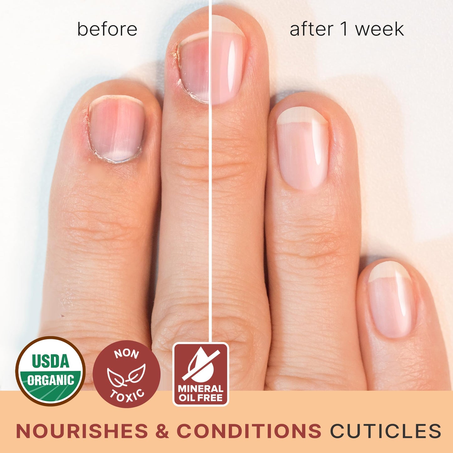 Organic Nail and Cuticle Oil - USA Made Nail Oil for Growth & Strength with Jojoba and Vitamin E, Repair for Damaged Nails & Cuticle Softener made Beauty & Personal Care Beauty by Earth