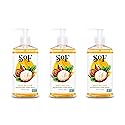 South Of France SoF Nourishing Hand Wash - With Moisturizing Sea Algae, Coconut & Olive Oil- Vegan & Non GMO- Free From Phthalates, Sulfates Beauty & Personal Care South Of France