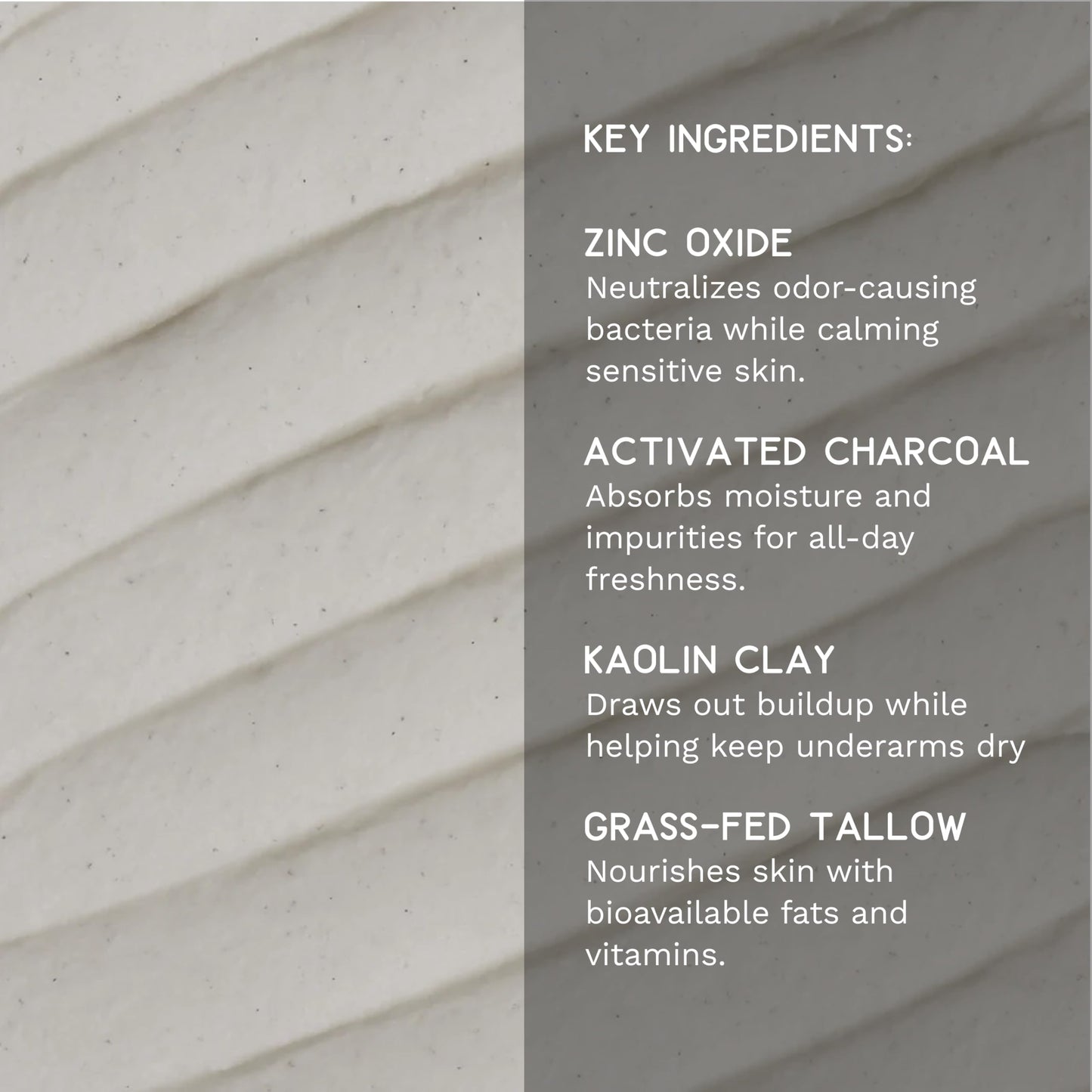 Shwally Zinc & Charcoal Deodorant - A True Natural, Tallow-Based & Effective Deodorant for Men & Women -- Aluminum Free with Coconut & Arrowroot Beauty and Personal Care Shwally