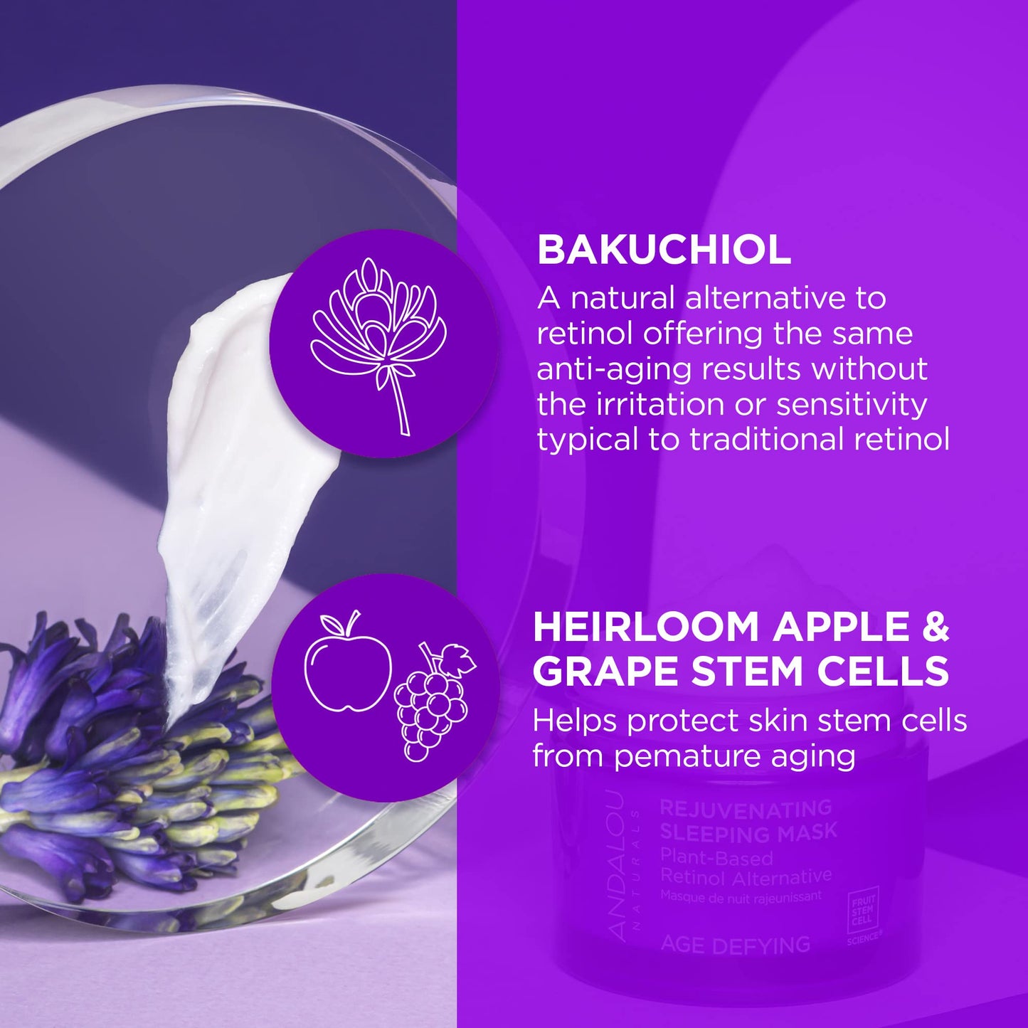AGE DEFYING Plant Based Retinol Alternative Rejuvenating Sleeping Mask Beauty & Personal Care Andalou Naturals