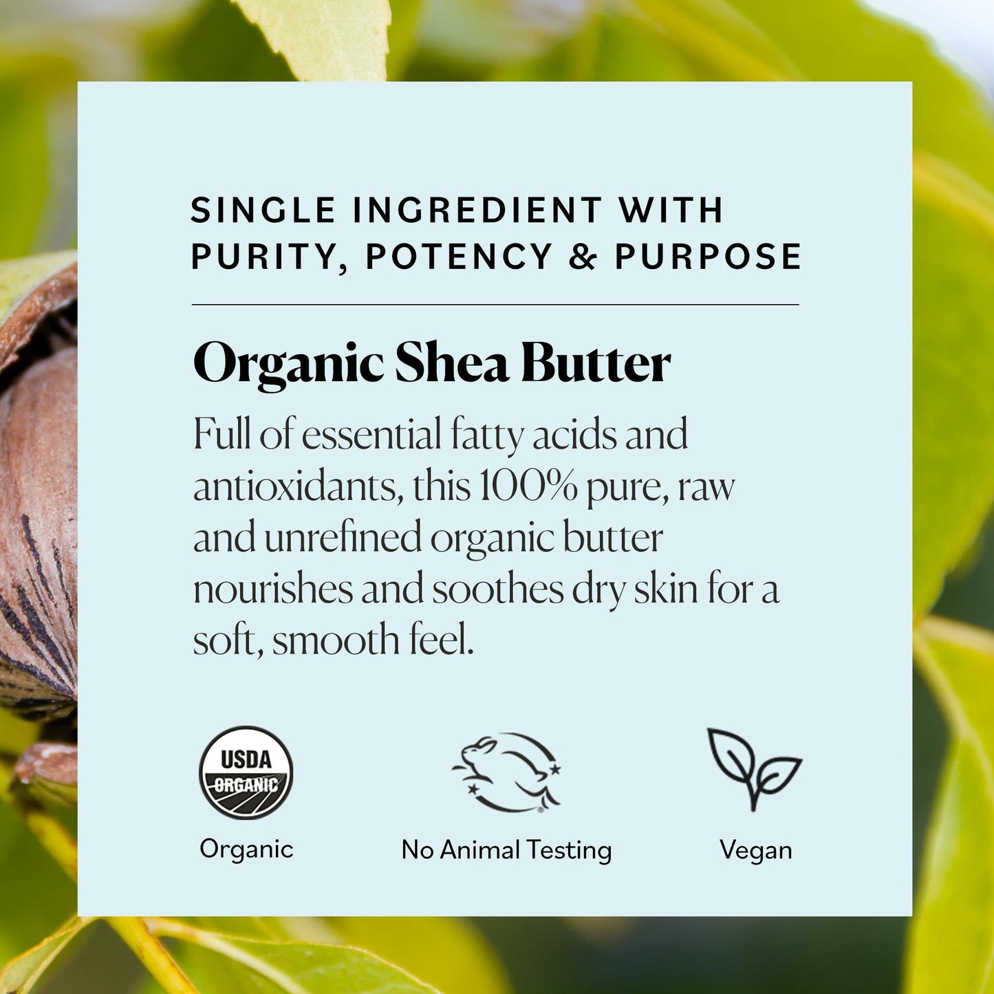 Sky Organics - Organic Shea Butter, 15 oz - Nourishes, Soothes, and Softens Dry Skin - Raw & Unrefined - Essential Fatty Acids & Antioxidants Beauty & Personal Care Sky Organics