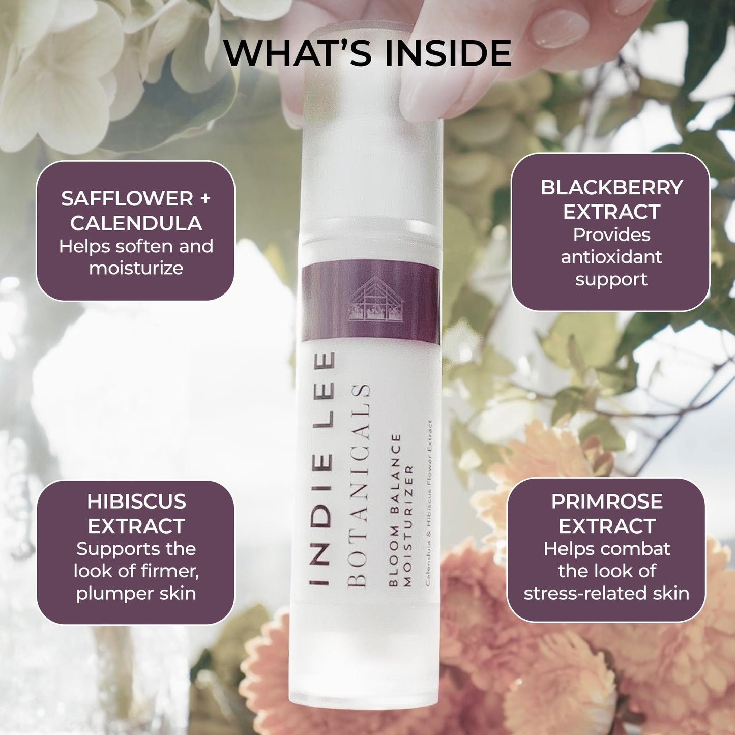 Bloom Balance Lightweight Face Moisturizer - Hydrating Clean Daily Moisturizer with Botanical Extracts | Non-Greasy Cream for Balanced, Radiant Skin | Beauty & Personal Care Indie Lee