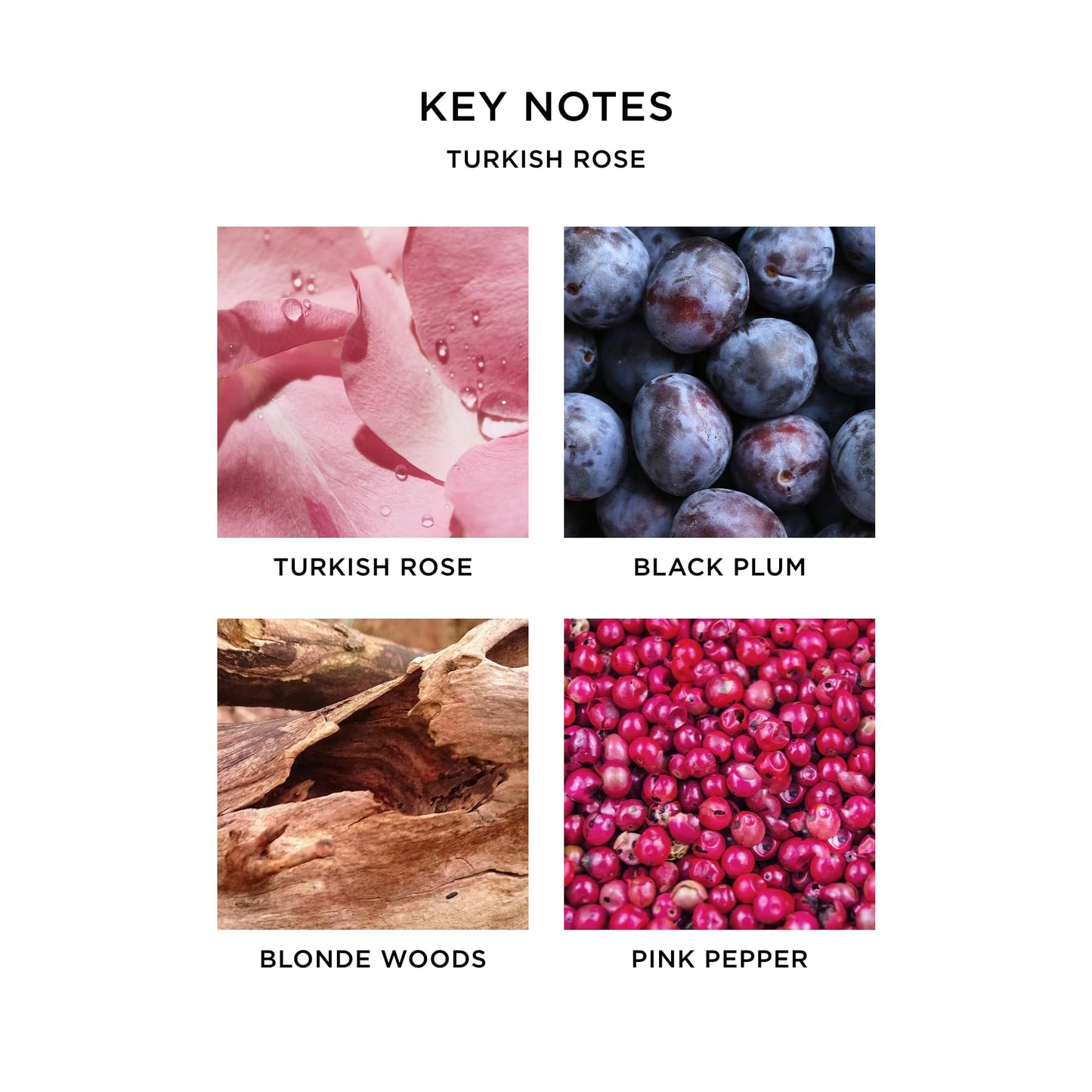 NEST New York Perfume Oil Bundle (Rollerball) - Includes Seville Orange & Turkish Rose - 6 mL Each - Vegan & Cruelty Free Beauty & Personal Care NEST New York