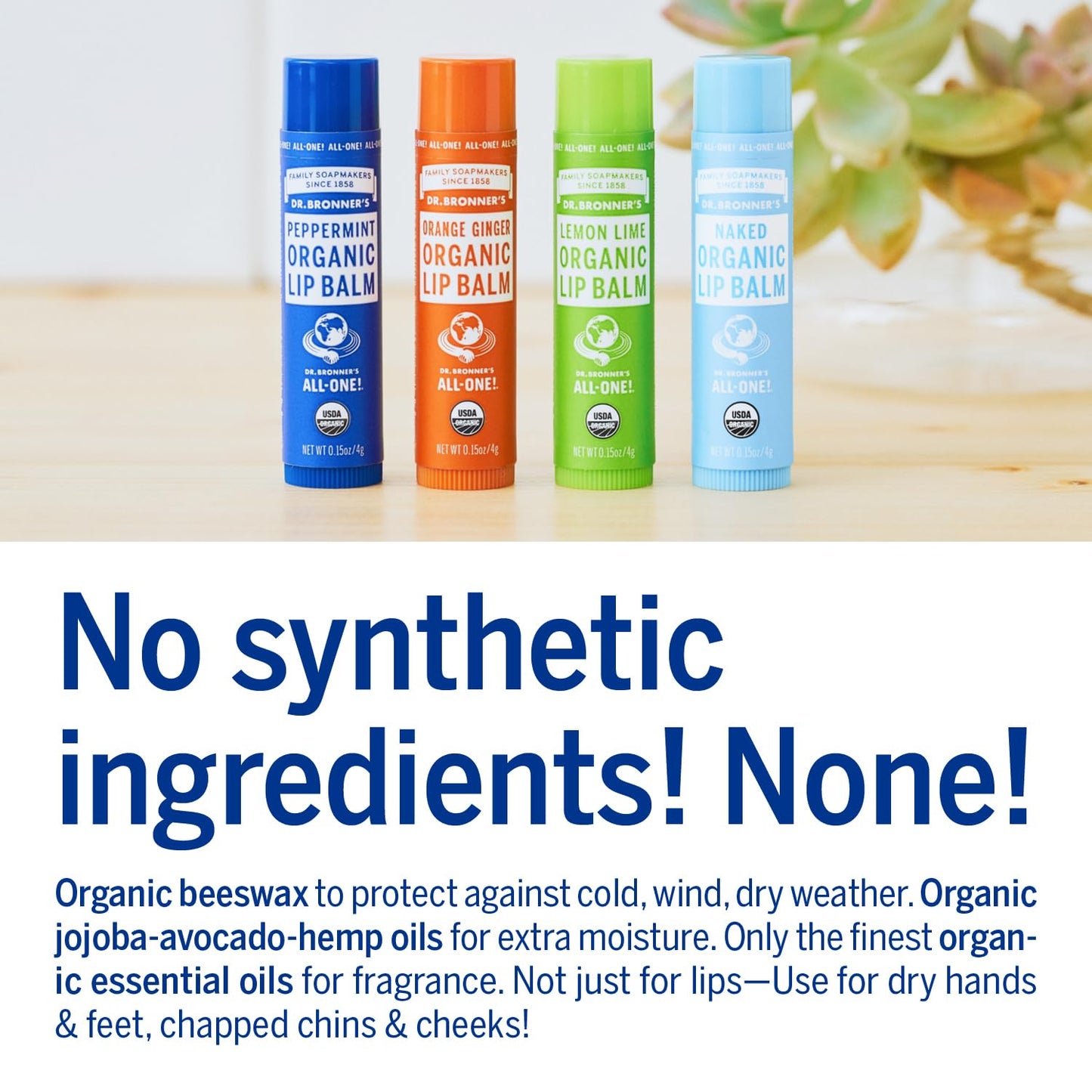 Dr. Bronners Lemon Lime Lip Balm, 4 GR Beauty & Personal Care Dr. Bronner's