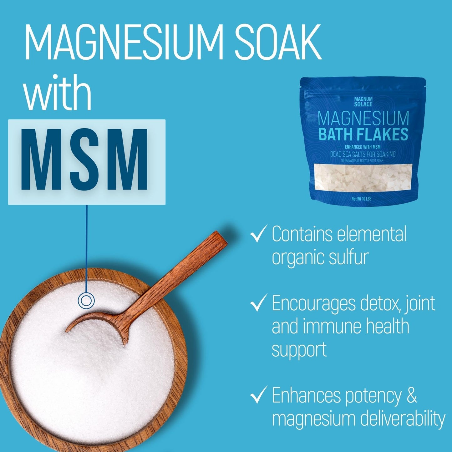 Magnesium Flakes with MSM - Magnesium Chloride Flakes - Dead Sea Salts for Soaking, 10 LBS Beauty and Personal Care Magnum Solace