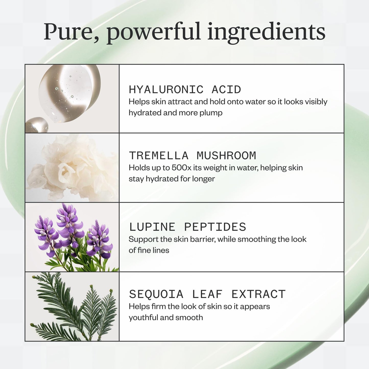 Ursa Major Forest Water Hyaluronic Serum | Deeply Hydrating Natural Face Serum | Boosts Firmness, Plumps Skin & Smooths Appearance of Fine Lines | Beauty & Personal Care Ursa Major