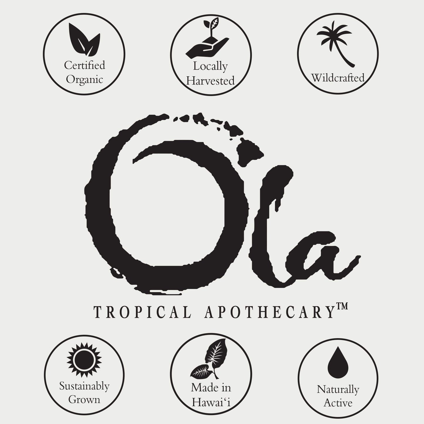 Tropical Apothecary Ola Passion Fruit Body Wash with Pure Tropical Oils and Plant Extracts - 8 Fl Oz Beauty & Personal Care Tropical Apothecary