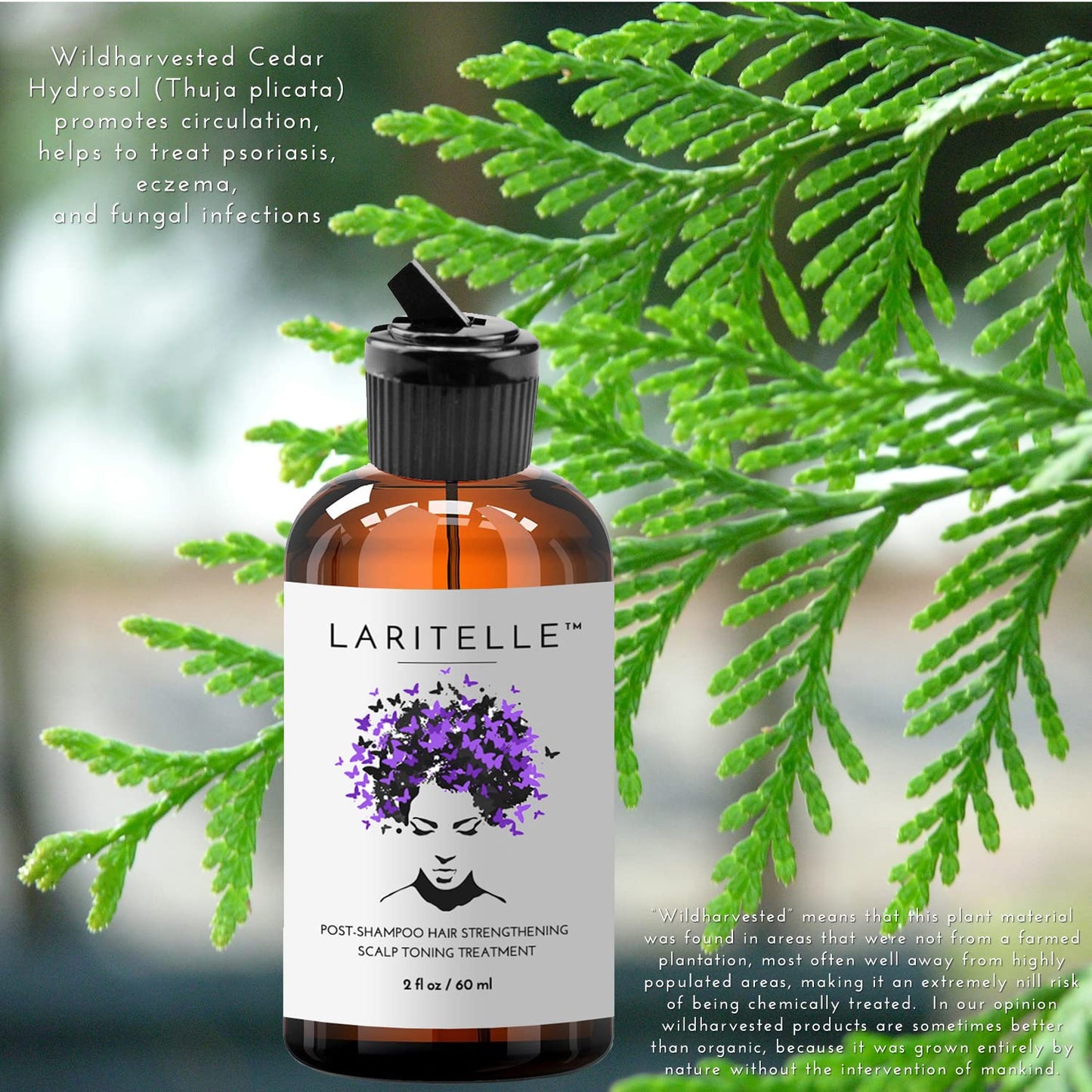 Laritelle Organic Post-Shampoo Hair Strengthening & Scalp Toning Treatment - Rosemary, Saw Palmetto, Cedar & Nettle Hydrosols - 3 x 2 oz Beauty & Personal Care Laritelle