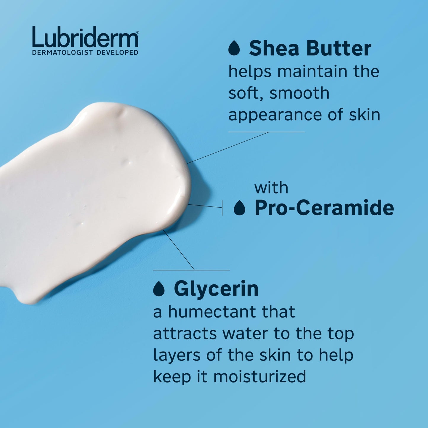 Lubriderm Daily Moisture Body Lotion + Pro-Ceramide, Body Lotion for Dry Skin, Shea Butter, Glycerin, Lightly Scented Hand Lotion, Non-Greasy 24-Hour Beauty & Personal Care Lubriderm