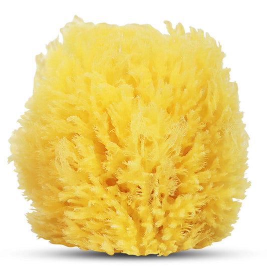 HartFelt Exfoliating Grass Sea Sponge 4in - Natural Exfoliating Body Scrubber Sponge for Shower for Women and Men Beauty and Personal Care HartFelt