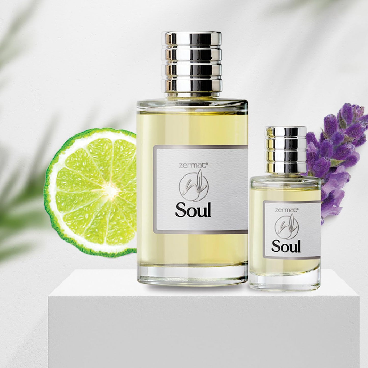 Zermat Soul Men's Fragrance Duo - Fresh Herbal Scent - 3.55 Fl. Oz & Miniature 0.85 Fl. Oz - Unleash Your Inner Confidence Beauty & Personal Care Zermat