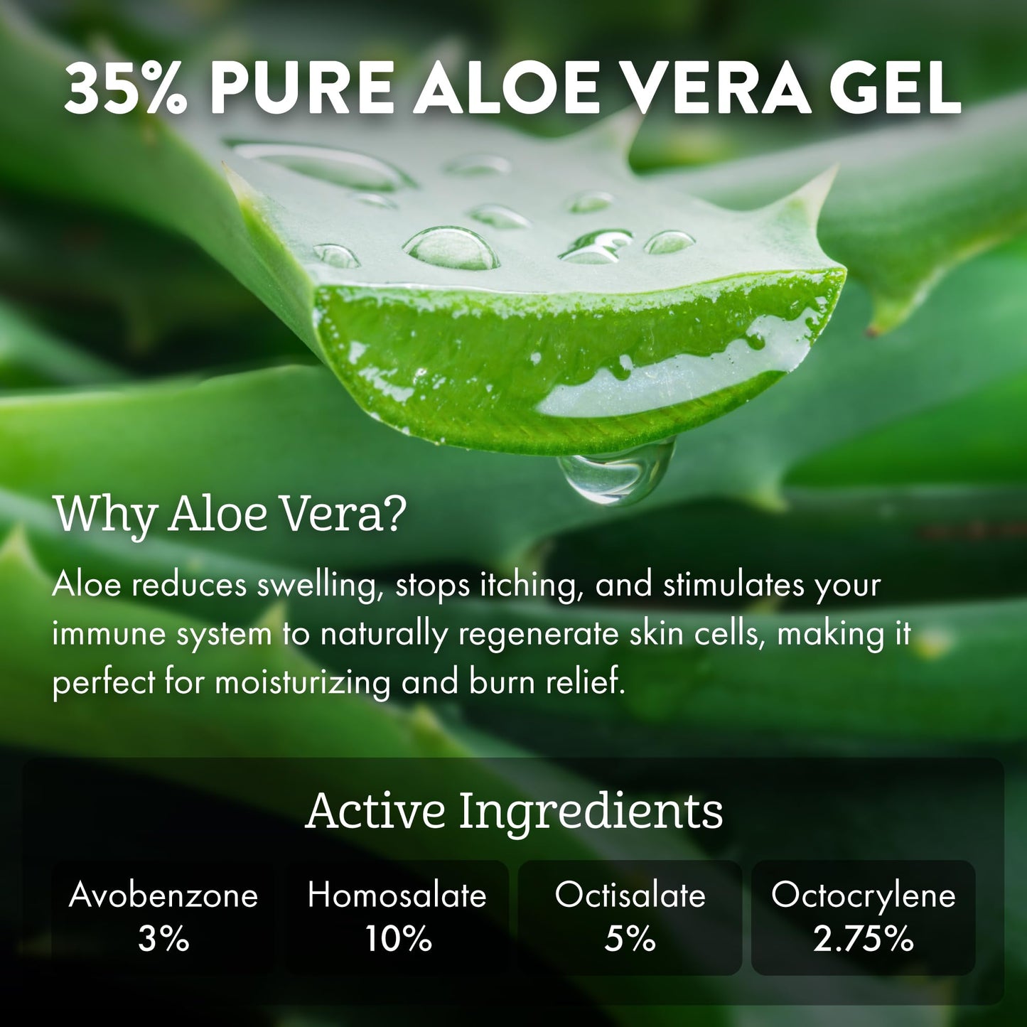 Aloe Up Sport Continuous Spray Sunscreen SPF 30 - Broad Spectrum UVA/UVB Sunscreen Protector for Face and Body - With Aloe Vera Gel - Fast Absorbing Beauty & Personal Care ALOE UP