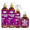 Difeel Pomegranate & Manuka Honey Shampoo & Conditioner 4-PC Set - Includes 33.8oz Shampoo, 33.8oz Conditioner, 8oz Leave in Spray and 7.1oz Hair Oil Beauty & Personal Care Difeel