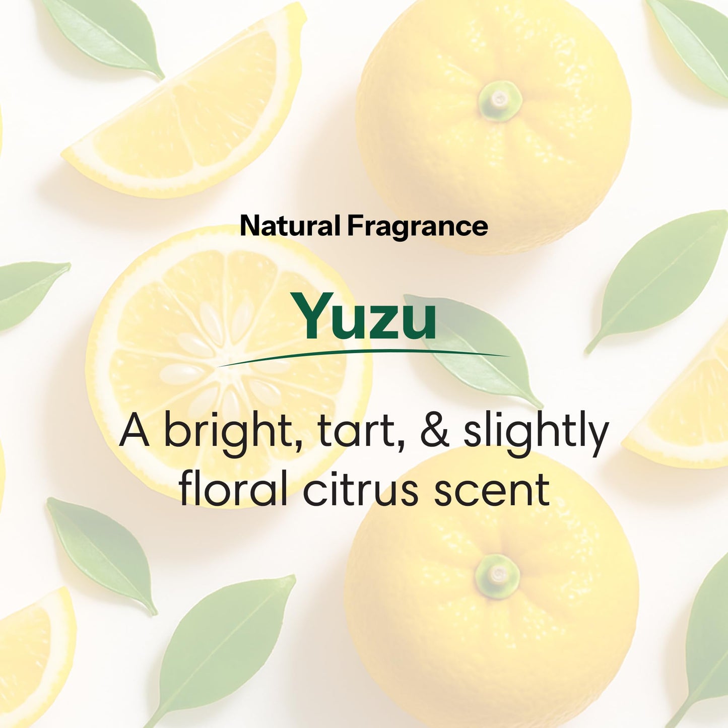 ShiKai Daily Moisturizing Shower Gel (Yuzu, 12 oz) | Gentle Soap-free Formula | With Aloe Vera & Oatmeal for Soft, Healthy Skin | Dry Skin Relief Beauty & Personal Care ShiKai