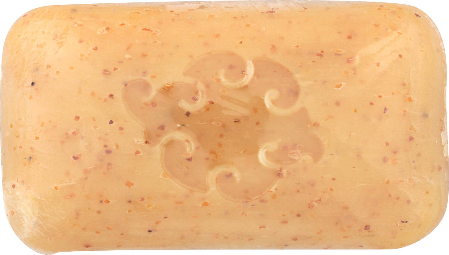 Baudelaire, Soap Bar Loofah Spice, 5 Ounce Beauty & Personal Care Baudelaire