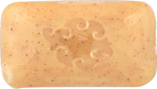 Baudelaire, Soap Bar Loofah Spice, 5 Ounce Beauty & Personal Care Baudelaire