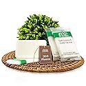 ECO amenities Bar Soap Pack - 200 Count, 1 oz Travel Body Bars - Individually Wrapped Hotel Guest Soaps for Travel Hygiene - Light Green Tea Scent Beauty & Personal Care ECO amenities