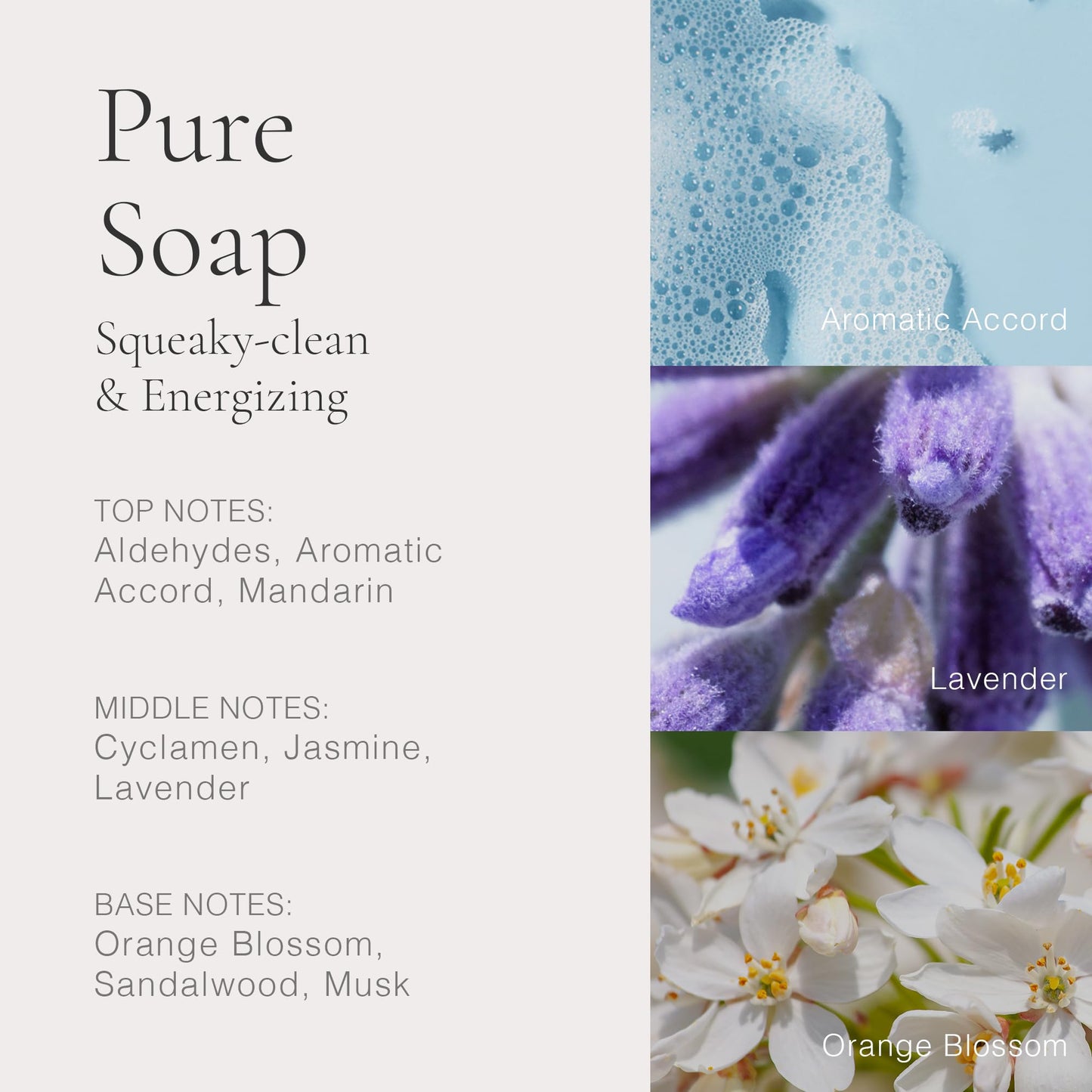 CLEAN CLASSIC Pure Soap 60mL Beauty & Personal Care CLEAN