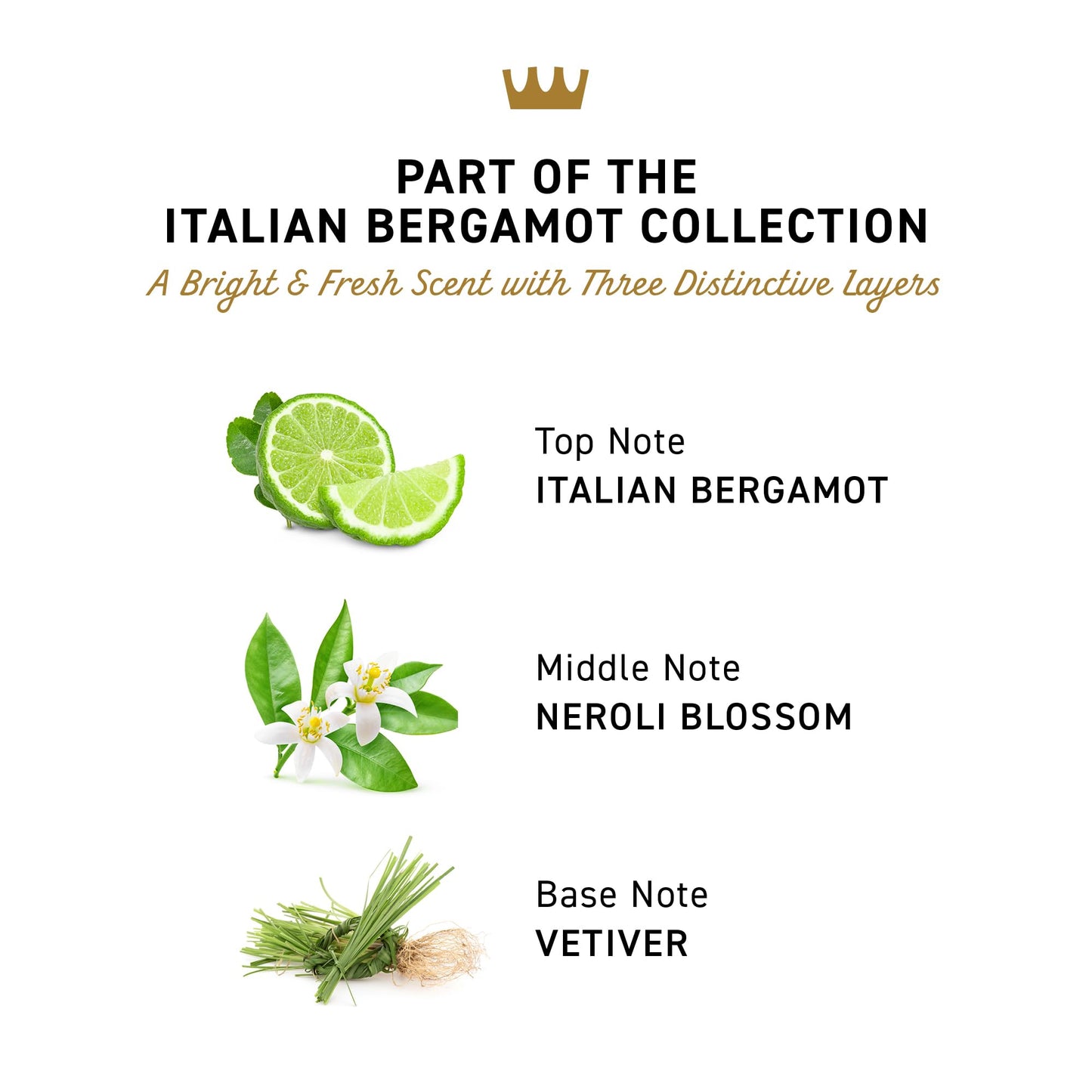 Cremo Italian Bergamot Aluminum Free Deodorant for Men, 48-hour Long Lasting Odor Protection, 2.65oz Beauty and Personal Care Cremo