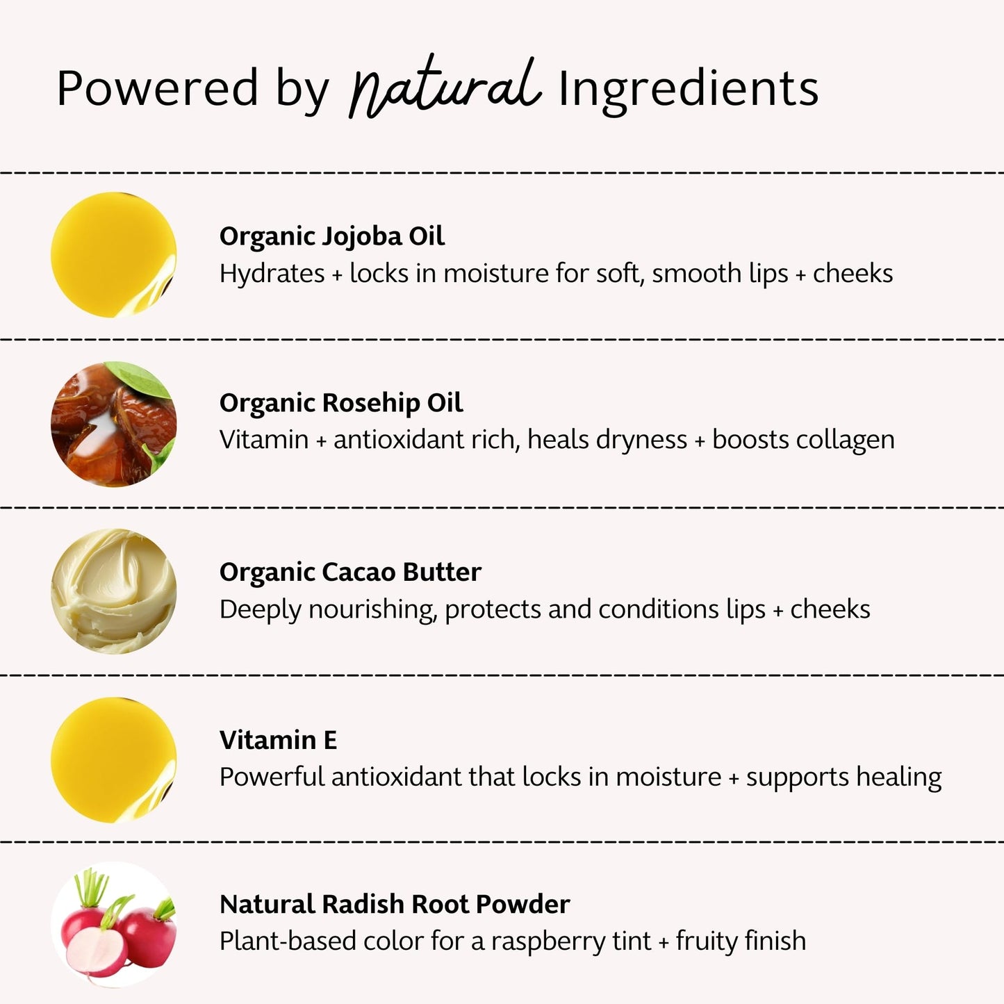 Slo Hydrating Lip Balm - Multi-Use, All Natural Lip Balm and Cheek Tint with Organic Jojoba, Rosehip, Cocoa Butter - Vegan, Cruelty-Free, Paper Beauty and Personal Care Slo