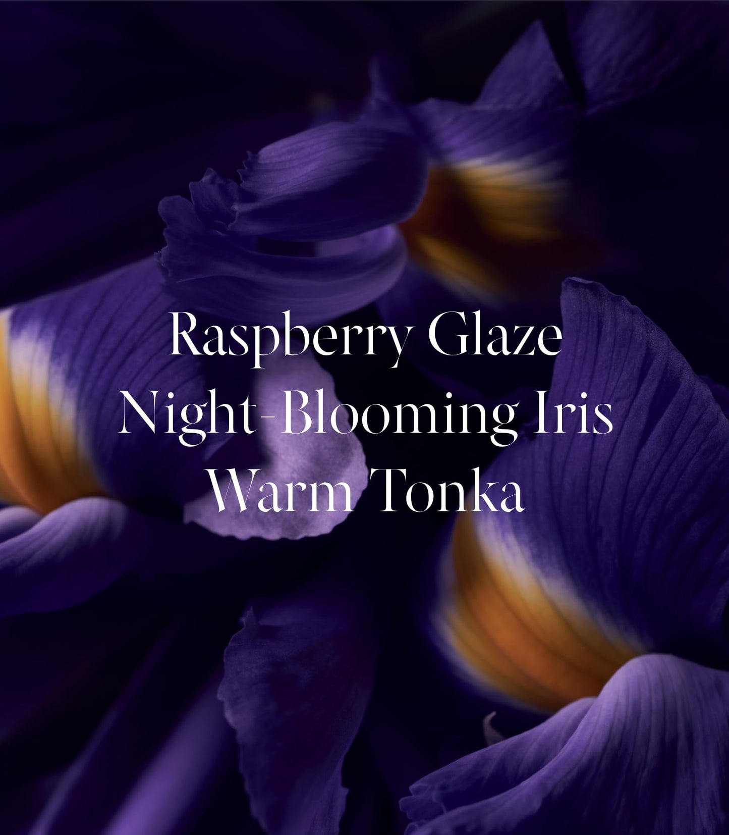 Victoria's Secret Tease Candy Noir Fragrance Lotion, Notes of Raspberry Glaze, Night-Blooming Iris & Warm Tonka, (8.4 oz) Beauty & Personal Care Victoria's Secret