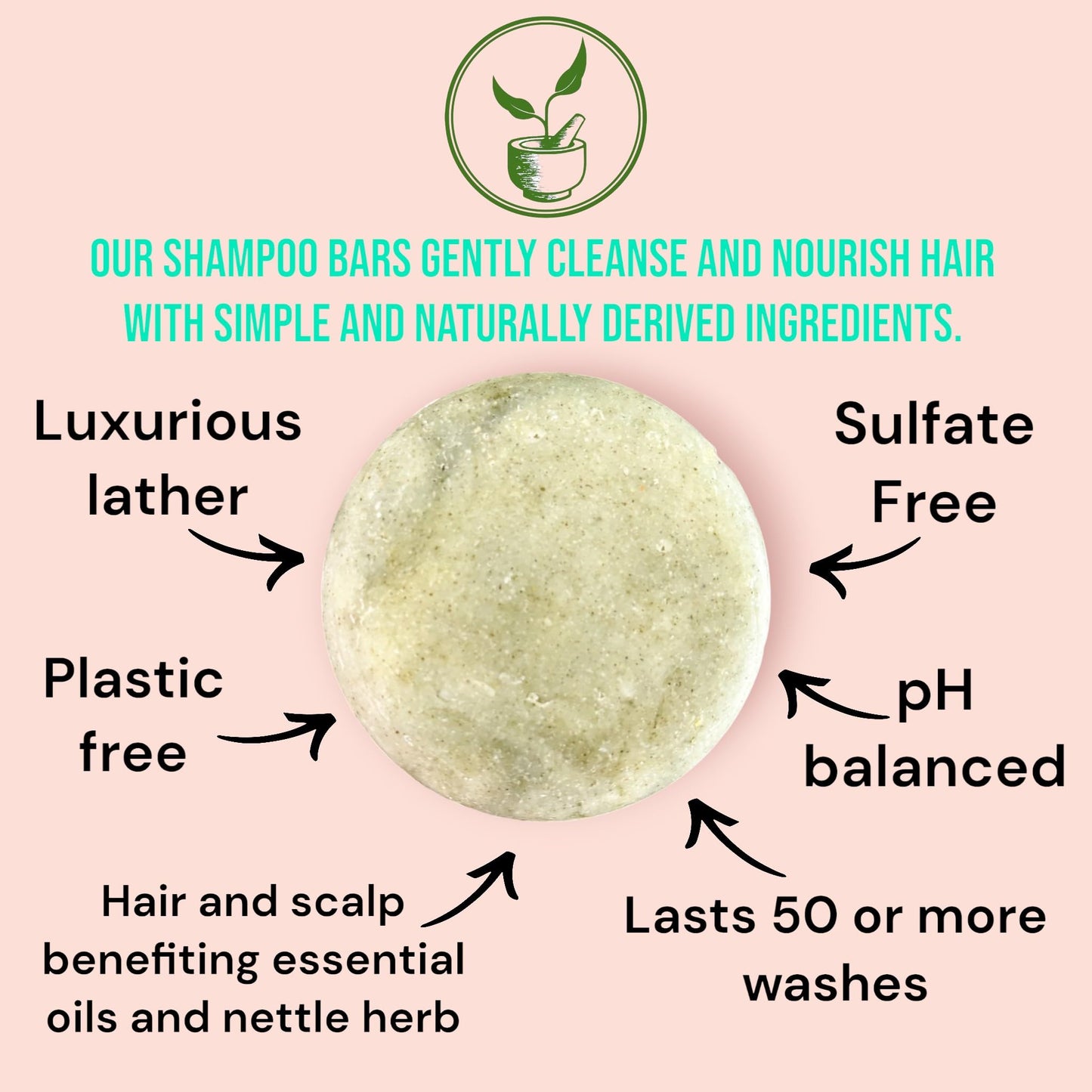 Lucky Locks | Pick Your Scent | Natural Shampoo & Conditioner Bar Set | Zero Waste Hair Care | Sulfate Free (Nettle Mint Meadow) Beauty & Personal Care Hammond Herbs
