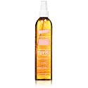 Fantasia Liquid Mousse Spritz Spray Firm Hold, 10 Fl Oz Beauty & Personal Care Fantasia