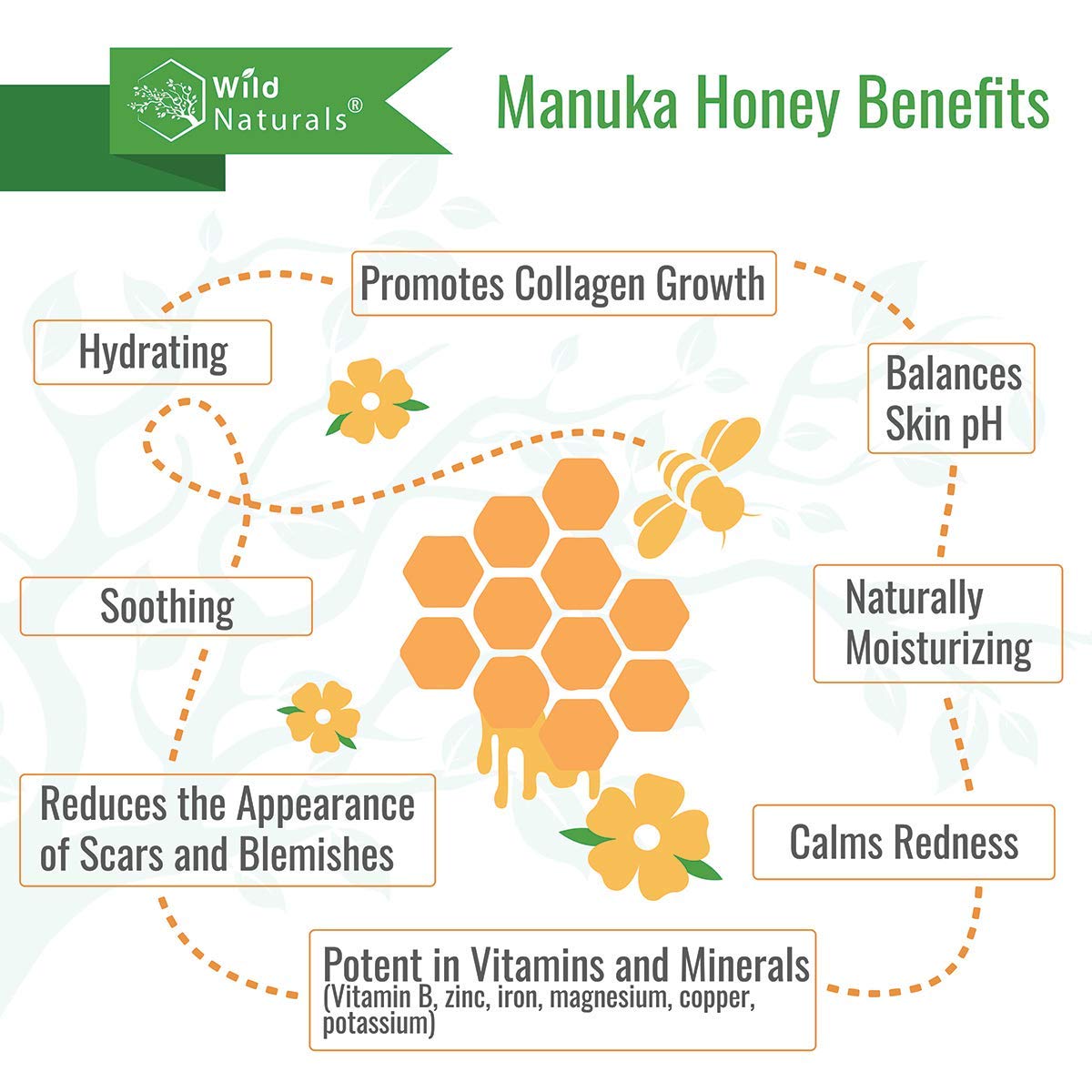 Manuka Honey Shampoo and Conditioner - Soothing Moisturizing Formula for Eczema, Psoriasis, Curly Hair, and Color-Safe - All Natural Set Beauty & Personal Care Wild Naturals