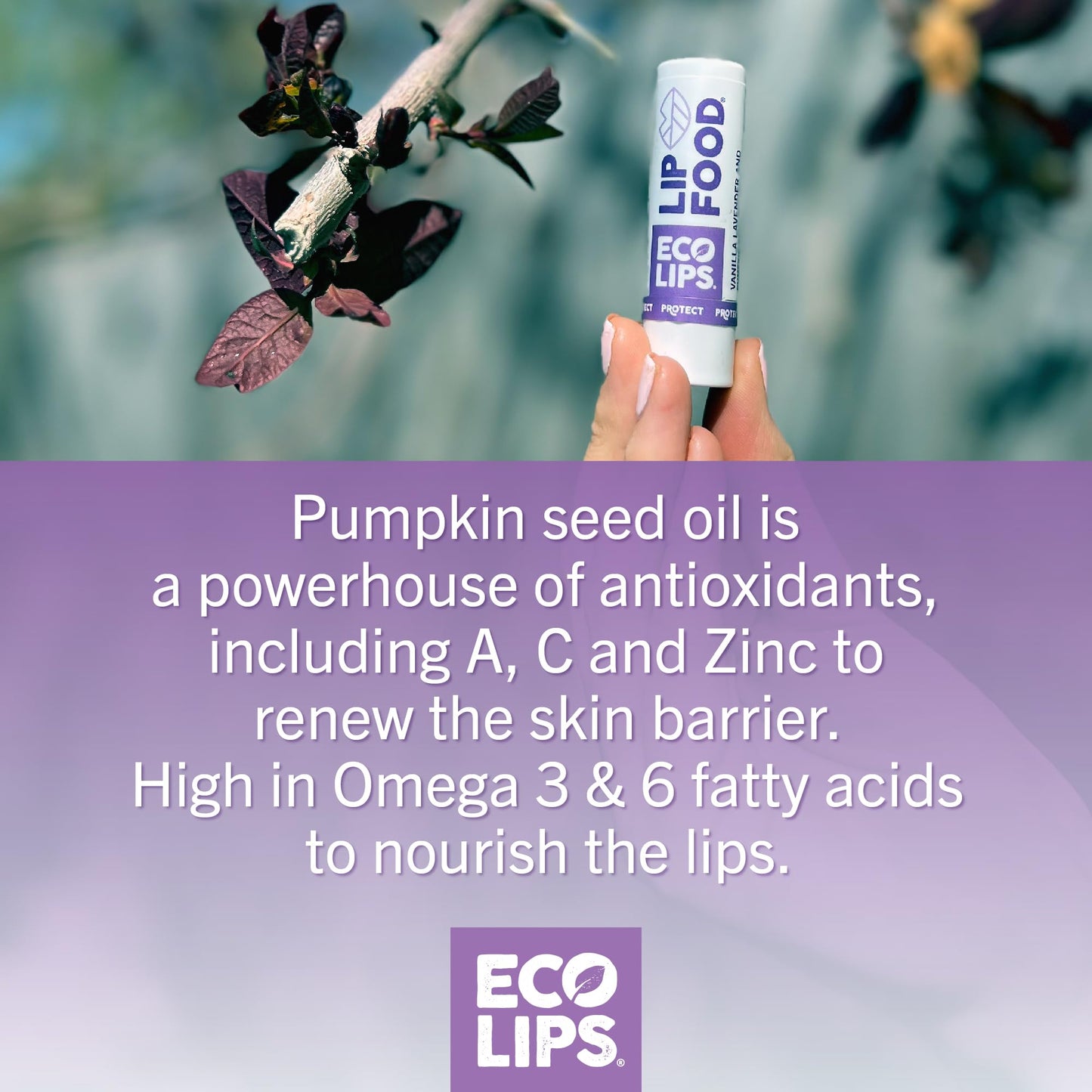 Lip Food Organic Lip Balm (Protect) Lavender & Vanilla, 3-Pack Beauty and Personal Care Eco Lips