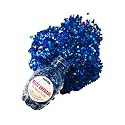Neva Nude Face and Body Glitter Keychain - Chunky Loose Glitter for Festivals, Raves, and More | Cosmetic Grade | Super Sparkly (Poseidon Deep Blue Beauty & Personal Care Neva Nude