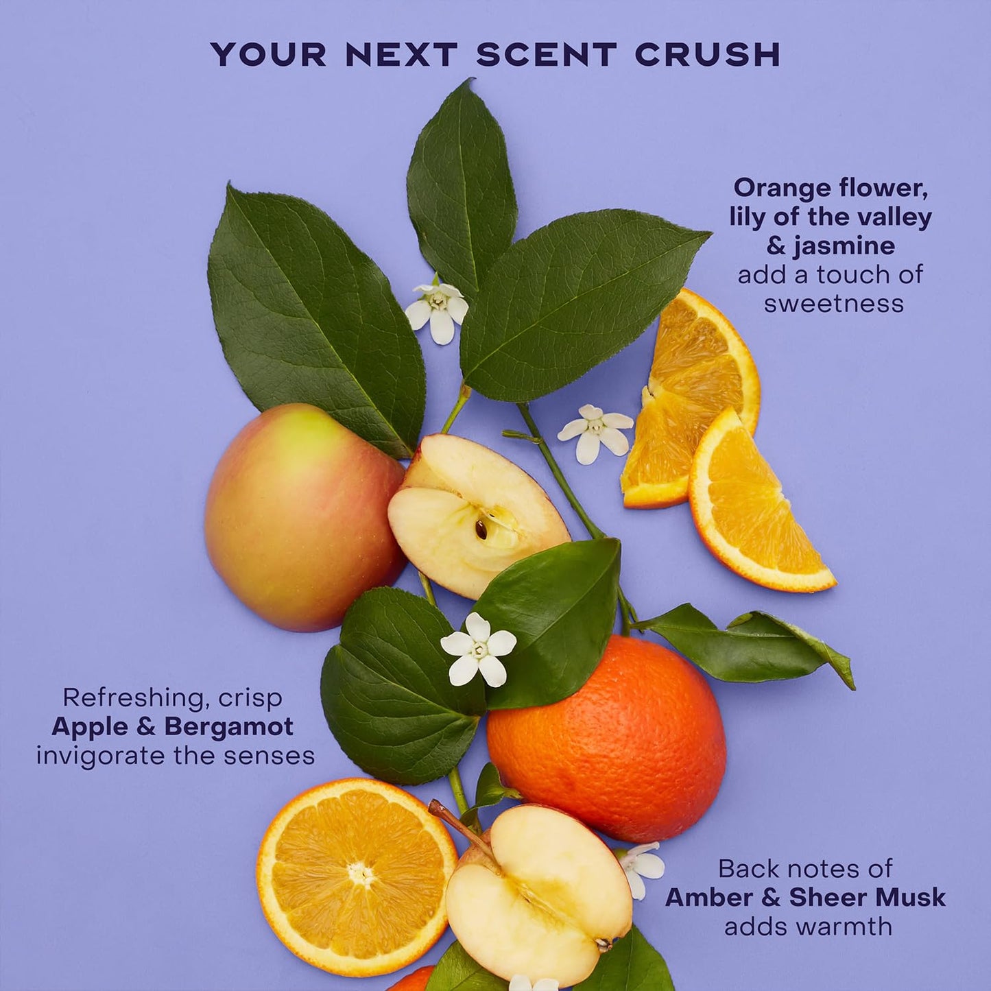 SheaMoisture Anti-Dandruff Shampoo & Conditioner + Scalp Repair & Hydrate Serum with Niacinamide, Shea Butter, 3% Salicylic Acid for Flakes & Itchy Beauty & Personal Care Shea Moisture