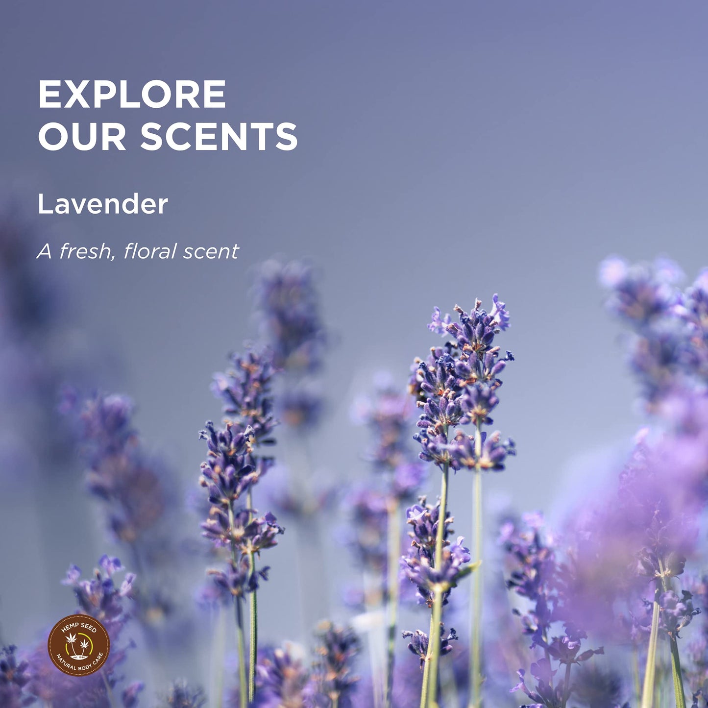 Hand & Body Lotion, Lavender Scent - 16 oz. - Soothe Dry Skin - Argan Oil, Hemp Seed Oil - Light, Non-Greasy Formula - Vegan & Cruelty Free Beauty & Personal Care Earthly Body
