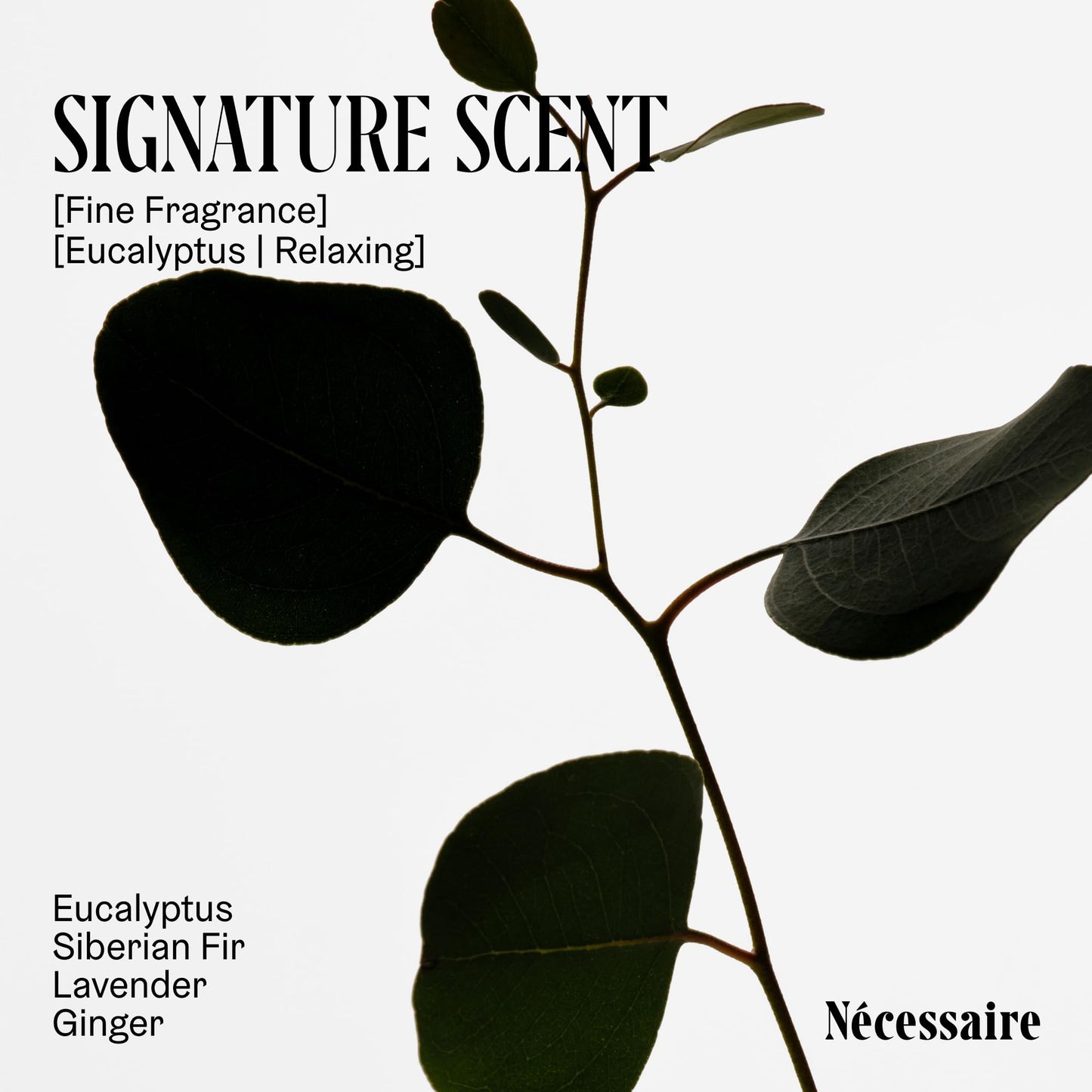 Nécessaire Mini The Body Wash - With Niacinamide, Vitamins + Plant Surfactants 3.4 oz / 100 mL Eucalyptus Beauty & Personal Care Nécessaire