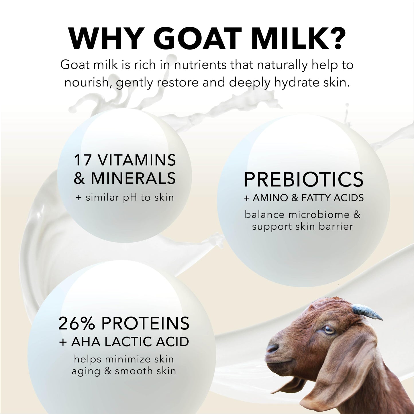 Dionis Goat Milk Jumbo Lip Balm - Moisturizing for Dry, Chapped, Lips, Conditioning with Beeswax, Shea Butter, Coconut Oil - Coconut Cream 0.28oz Beauty and Personal Care Dionis