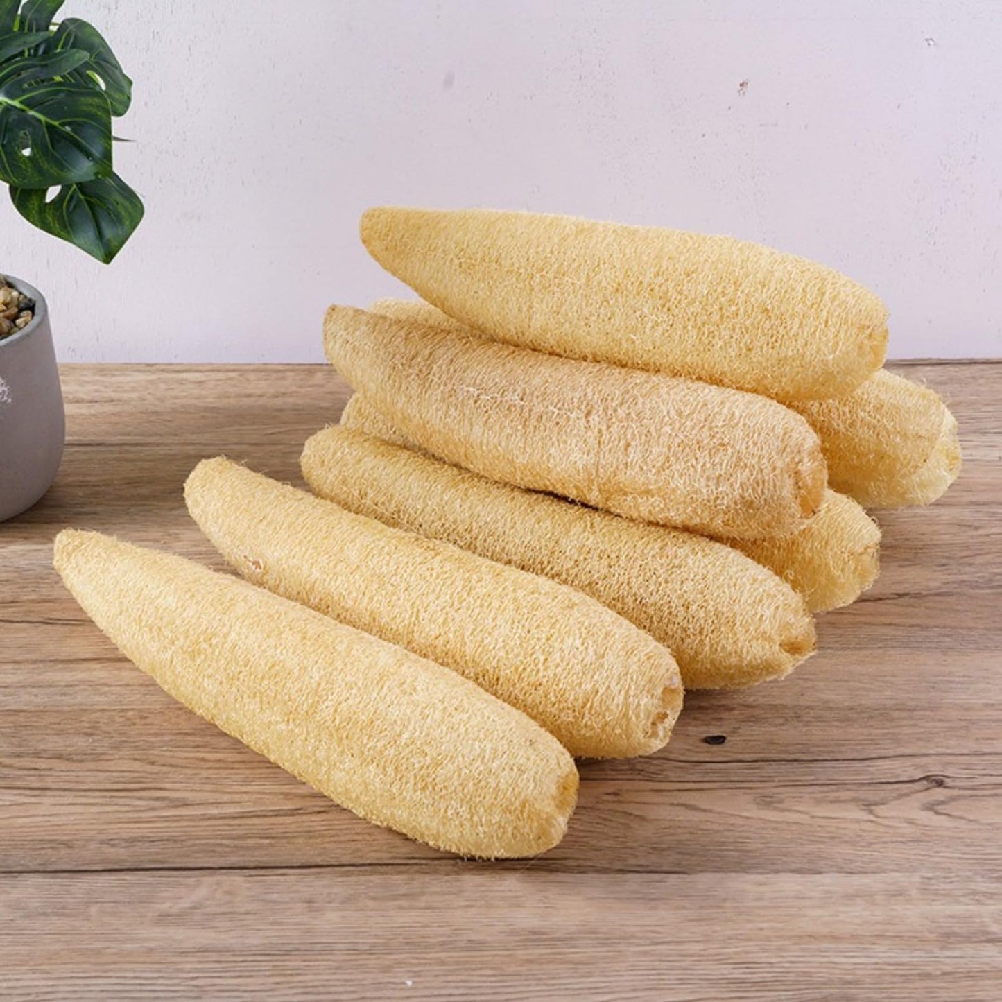 Two Natural loofah Brush pots for Washing Dishes, with a Whole loofah Pulp and a Cloth to Remove Oil and Prevent Sticking Beauty and Personal Care CGHABNJEQ