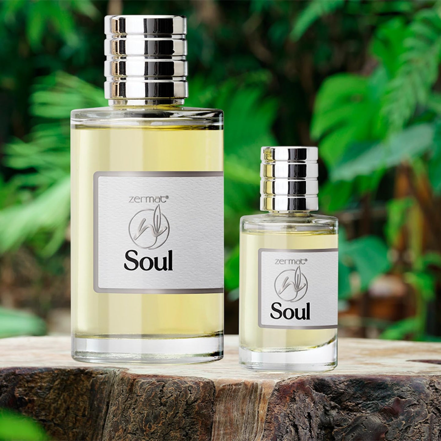 Zermat Soul Men's Fragrance Duo - Fresh Herbal Scent - 3.55 Fl. Oz & Miniature 0.85 Fl. Oz - Unleash Your Inner Confidence Beauty & Personal Care Zermat