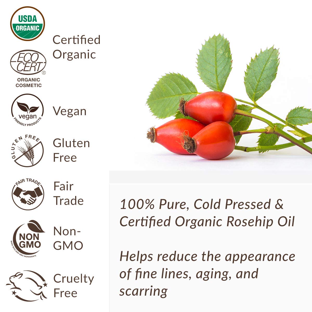 Skin Essence Organics Rosehip Seed Oil - Authentic, Cold-Pressed, & Certified Organic (30ml) Beauty & Personal Care Skin Essence Organics