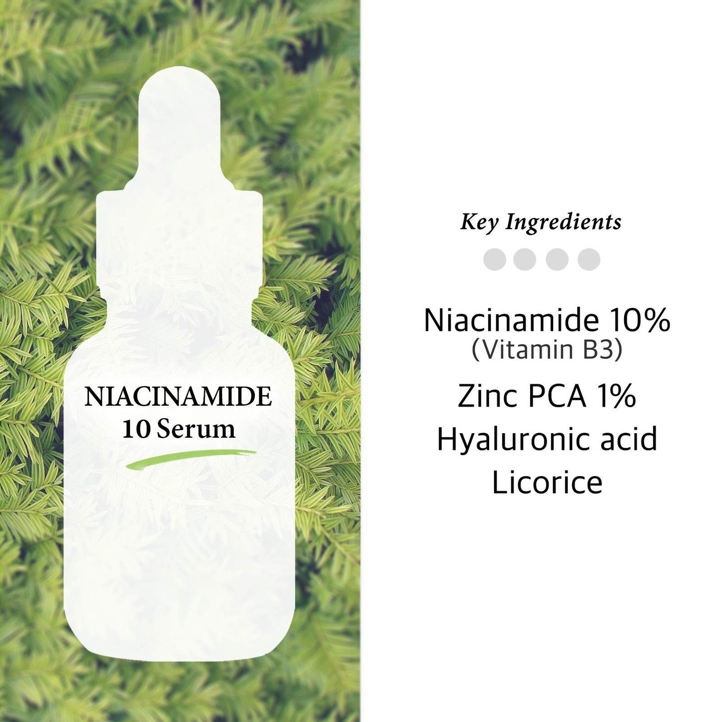 Cos De BAHA Niacinamide 10% Serum 1 Fl Oz - Zinc PCA, Hyaluronic Acid & Aloe for Balancing, Pore-Refining & Uneven Tone (30 ml) Beauty & Personal Care Cos De BAHA