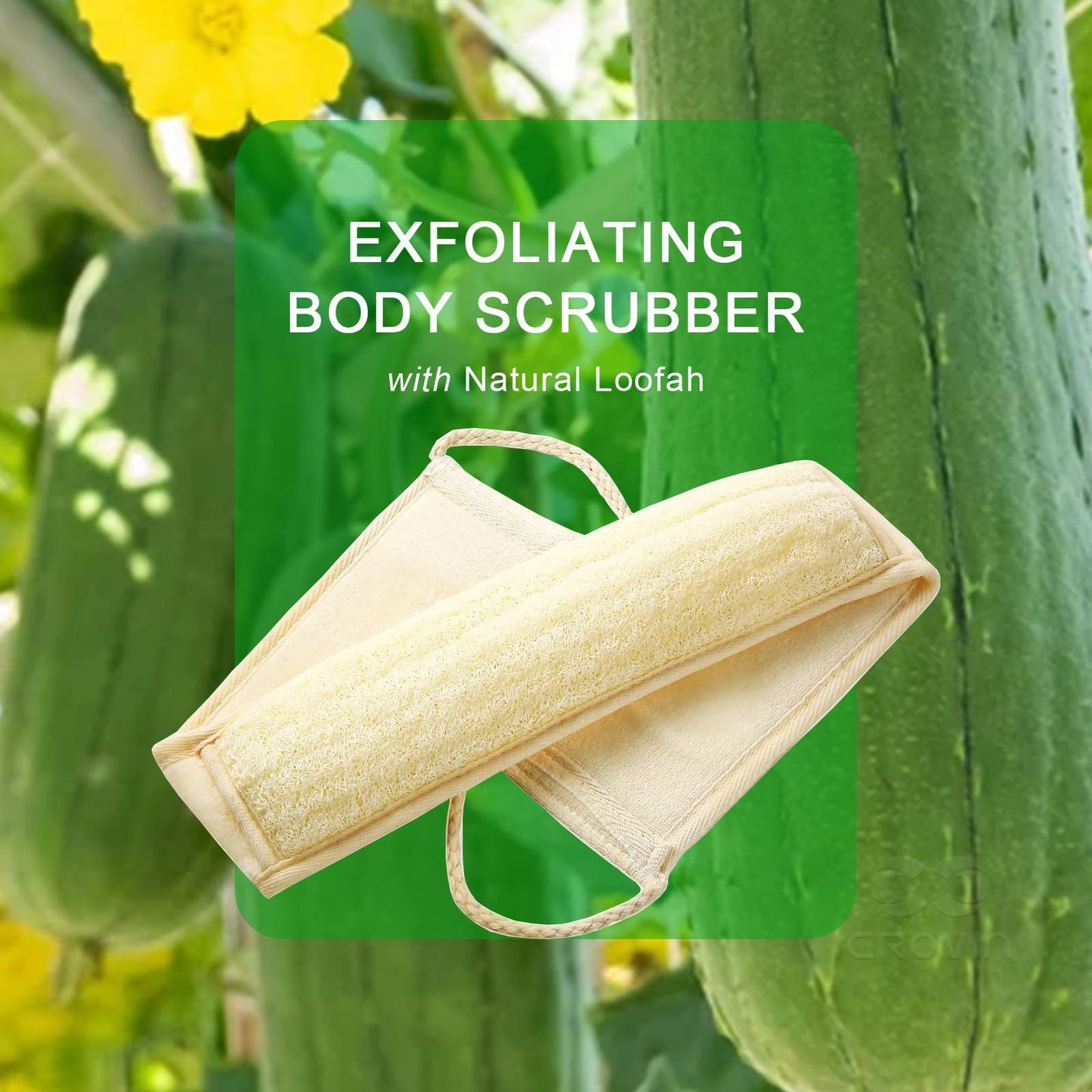 CROVIN Dry Brushing Body Brush with Natural Boar Bristle Dry Brush for Exfoliating Loofah Body Scrubber - Face Brush -Bath and Shower Gloves - Pumice Beauty & Personal Care CROVIN