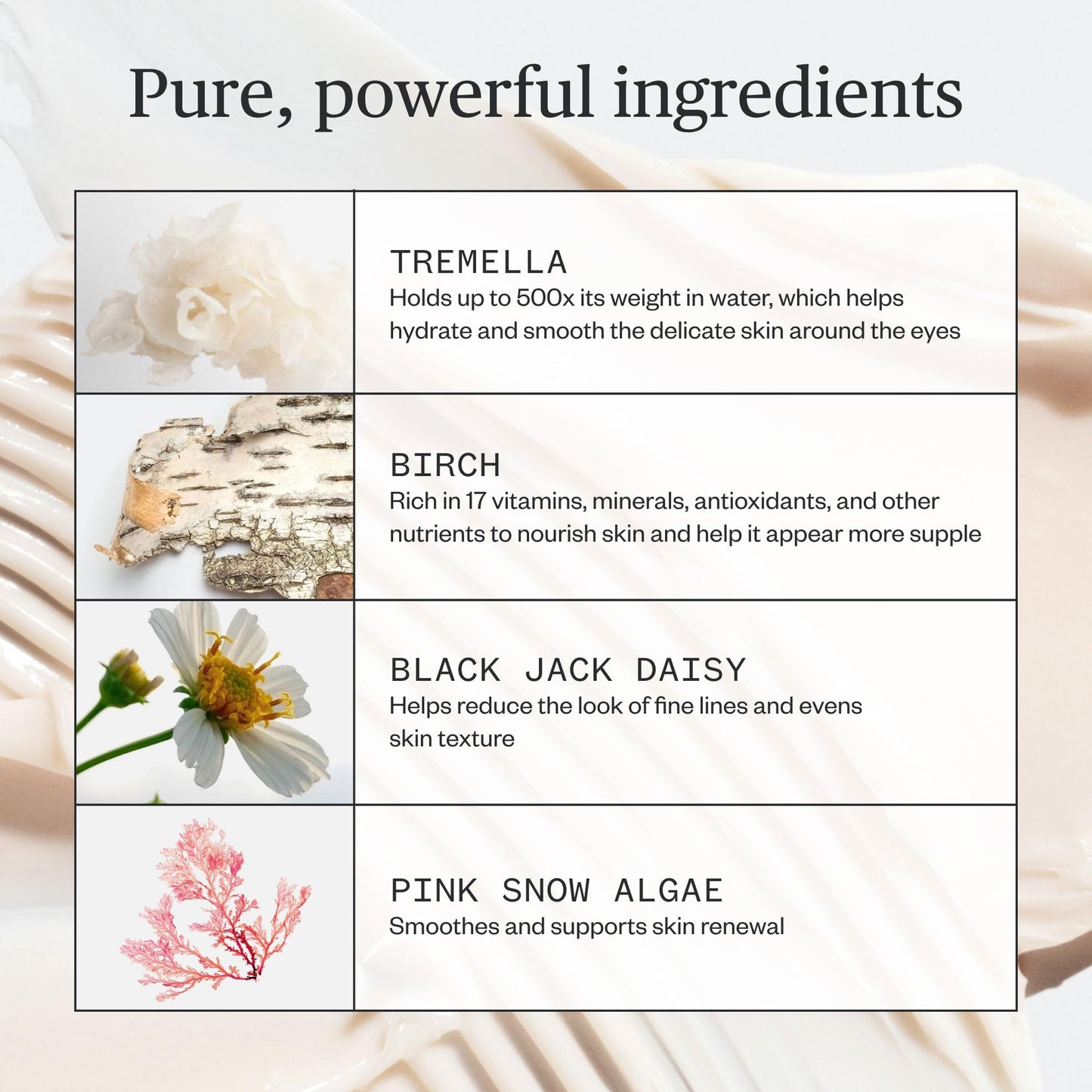 Ursa Major Forest Alchemy Eye Cream | Natural Under-Eye Moisturizer for Dark Circles, Fine Lines, Puffy Eyes and Wrinkles | Vegan, Cruelty-Free Beauty & Personal Care Ursa Major