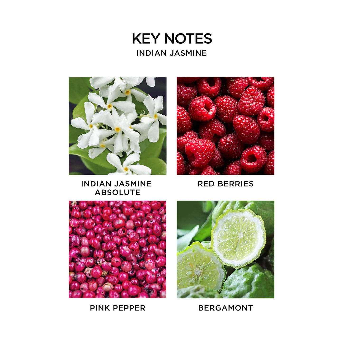 NEST New York Perfume Oil Discovery Set - Includes Balinese Coconut, Turkish Rose, Seville Orange, Indian Jasmine & Madagascar Vanilla - Vegan Beauty & Personal Care NEST New York