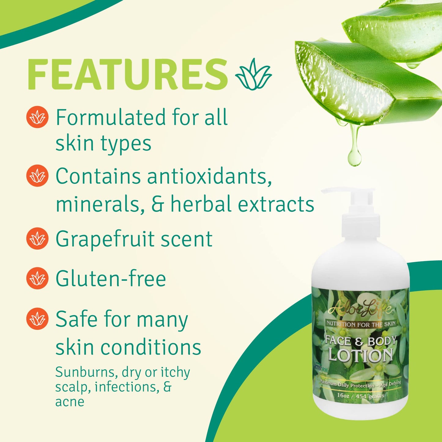 Aloe Life - Face & Body Lotion, Concentrated Formula, Hydrates Dry Skin, Contains Antioxidants, Minerals, & Herbal Extracts, Pleasant Grapefruit Beauty & Personal Care Aloe Life