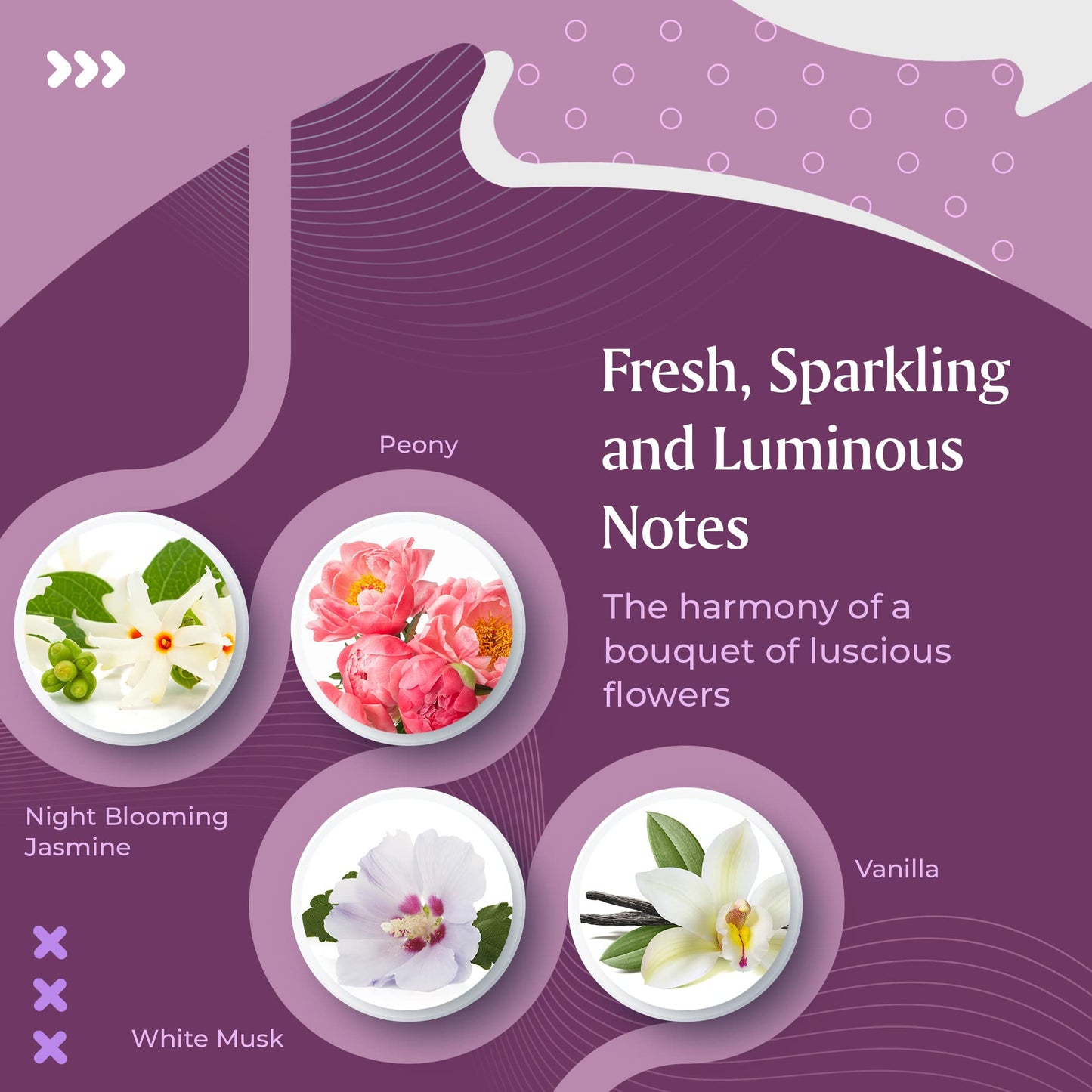 Sandora Fragrances Perfume for Women - INSPIRED by A WORLD RENOWNED WOMEN’S PERFUME - Fruity, Floral, Musk, Sweet - Black Currant, Pomegranate, Night Beauty & Personal Care Sandora Fragrances