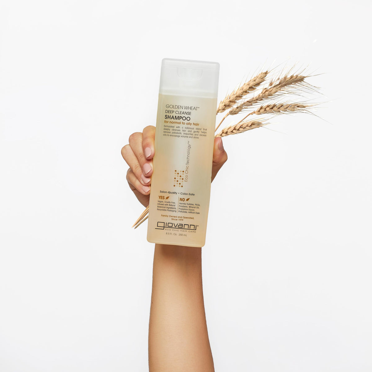 GIOVANNI ECO CHIC Golden Wheat Deep Cleanse Shampoo - Shampoo for Oily hair, Deep Cleansing With Botanical Oils, Helps Encourages Volume & Shine Beauty & Personal Care GIOVANNI