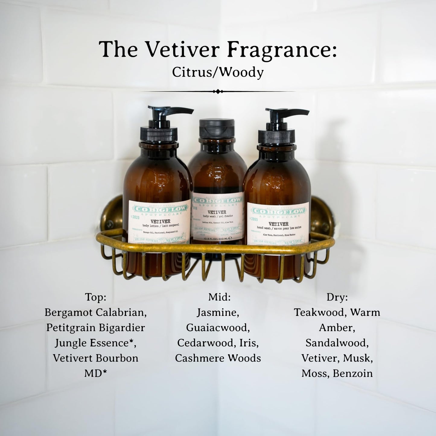 C.O. Bigelow Iconic Collection Vetiver Hand Wash, Scented Hand Soap with Aloe Vera and Shea Butter, 10.5 fl oz Beauty & Personal Care C. O. Bigelow