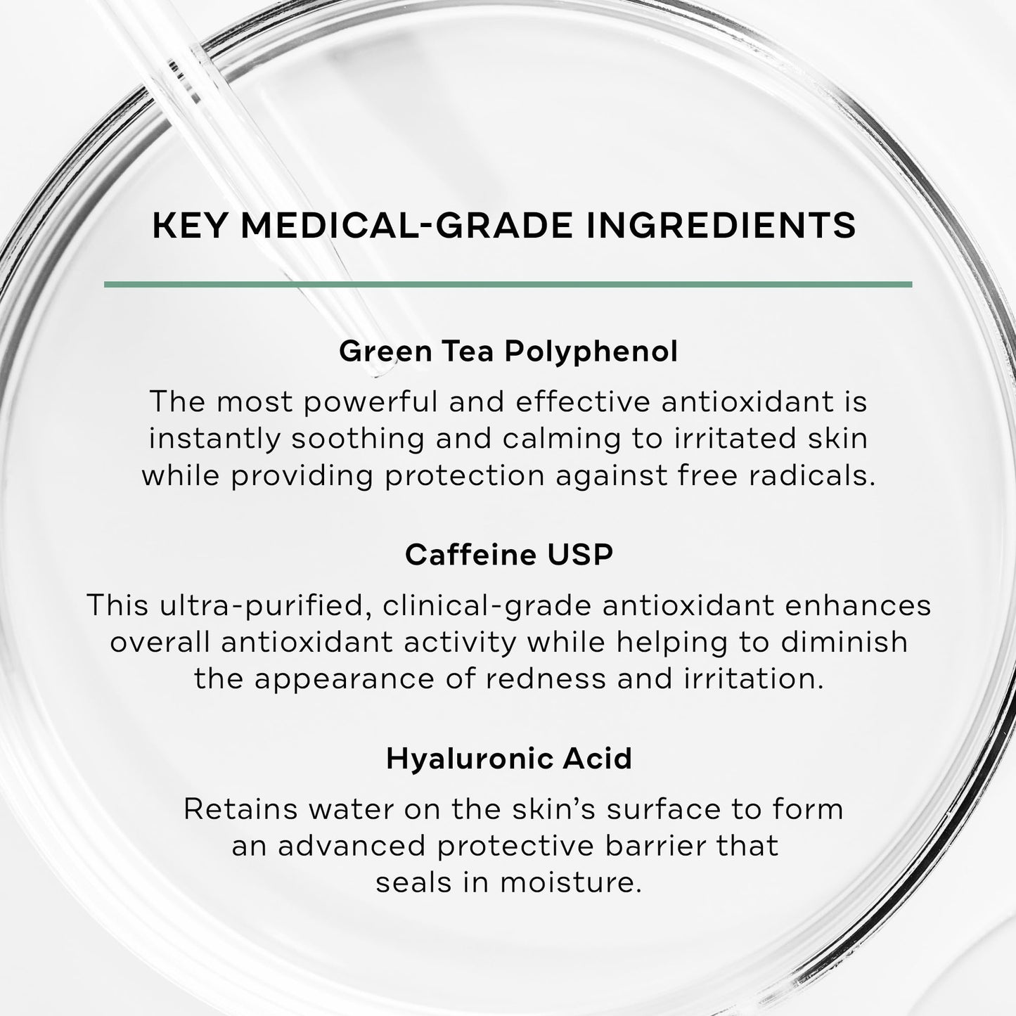 Replenix Medical-Grade Caffeine Fortified Calming Face Serum with Hyaluronic Acid for Sensitive Skin (1 Fl. Oz) Beauty & Personal Care Replenix